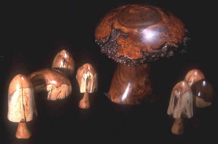 Group of Mushrooms
